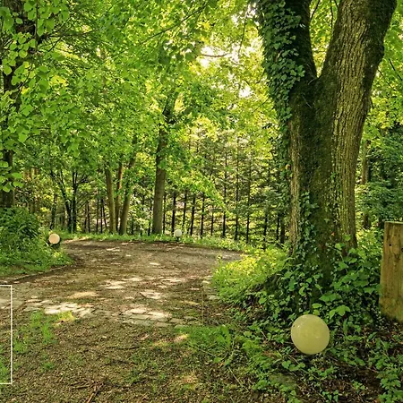 Domaine Spa Perret-Piscine Ete-Giverny A 3Mn-Jardins Monet-Le Vexin-Parc 3Ha-Aire De Jeux Enfants-Ping Pong-Chateau Artdeco Mastersuite En B&B Ou Gite De Charme-Options Breakfast-Diner-Billard-Sauna-Fitness-Hammam-Promo 2 Nuits Avec 1H Jacuzzi Offert Guest house Sainte-Genevieve-les-Gasny