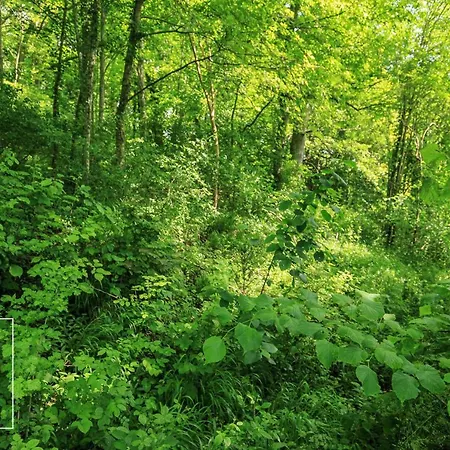 Domaine Spa Perret-Piscine Ete-Giverny A 3Mn-Jardins Monet-Le Vexin-Parc 3Ha-Aire De Jeux Enfants-Ping Pong-Chateau Artdeco Mastersuite En B&B Ou Gite De Charme-Options Breakfast-Diner-Billard-Sauna-Fitness-Hammam-Promo 2 Nuits Avec 1H Jacuzzi Offert 4*