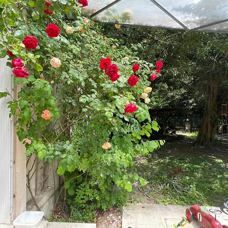 Domaine Spa Perret-Piscine Ete-Giverny A 3Mn-Jardins Monet-Le Vexin-Parc 3Ha-Aire De Jeux Enfants-Ping Pong-Chateau Artdeco Mastersuite En B&B Ou Gite De Charme-Options Breakfast-Diner-Billard-Sauna-Fitness-Hammam-Promo 2 Nuits Avec 1H Jacuzzi Offert 4*