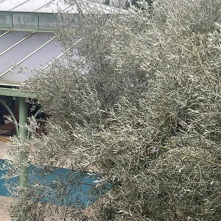 Domaine Spa Perret-Piscine Ete-Giverny A 3Mn-Jardins Monet-Le Vexin-Parc 3Ha-Aire De Jeux Enfants-Ping Pong-Chateau Artdeco Mastersuite En B&B Ou Gite De Charme-Options Breakfast-Diner-Billard-Sauna-Fitness-Hammam-Promo 2 Nuits Avec 1H Jacuzzi Offert 4*