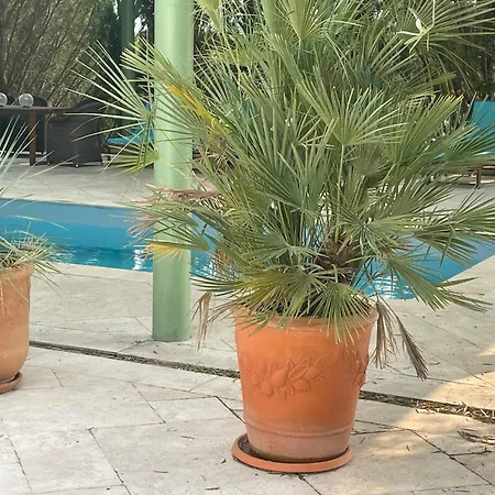 CHÂTEAU SPA Art Déco en B&B MASTER SUITE ET-OU GîTE CONFORT INDÉPENDANT-Parc Naturel du VEXIN-GIVERNY À 3Mn-PISCINE Extérieure Chauffée en Saison-PING PONG-AIRE ENFANTS-Parc 3Ha-OPTIONS-DÎNER-BILLARD-JACUZZI-SAUNA-HAMMAM-MASSAGE-Coaching-Yoga-Fitness 4* Sainte-Genevieve-les-Gasny