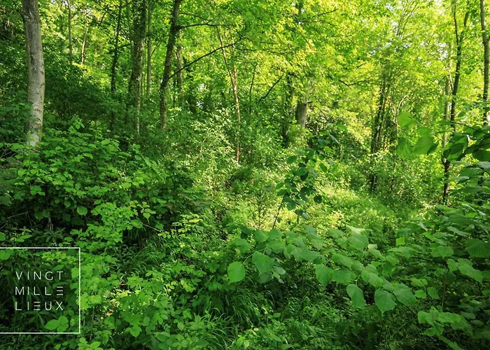 CHÂTEAU SPA ART DÉCO en B&B MASTER SUITE ET-OU GîTE CONFORT INDÉPENDANT-Parc Naturel du VEXIN-À 3Mn GIVERNY-PISCINE EXTÉRIEURE CHAUFFÉE en Saison-PING PONG-AIRE ENFANTS-Parc 3Ha-OPTIONS-DÎNER-BILLARD-JACUZZI-SAUNA-HAMMAM-MASSAGE-Coaching-FITNESS-Yoga 4*